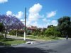Avenida Guilherme Wetzel