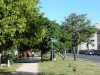 Avenida Dom Joaquim