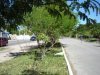 Avenida Duque de Caxias - lado sul