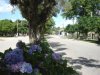 Avenida Amazonas